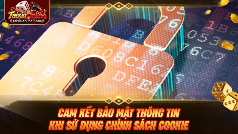 Cam kết bảo mật thông tin khi sử dụng chính sách cookie