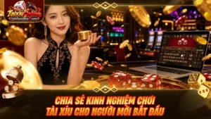 Chia sẻ kinh nghiệm chơi Tài Xỉu cho người mới bắt đầu