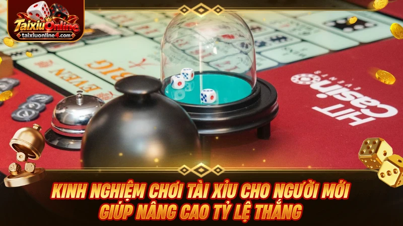 Chia sẻ kinh nghiệm chơi Tài Xỉu cho người mới giúp nâng cao tỷ lệ thắng