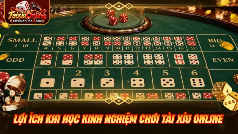 Lợi ích khi học kinh nghiệm chơi Tài Xỉu Online