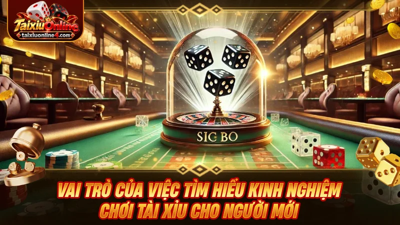 Vai trò của việc tìm hiểu kinh nghiệm chơi Tài Xỉu cho người mới